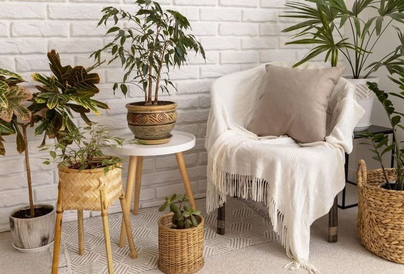 Beautiful Home Styling with Plants
