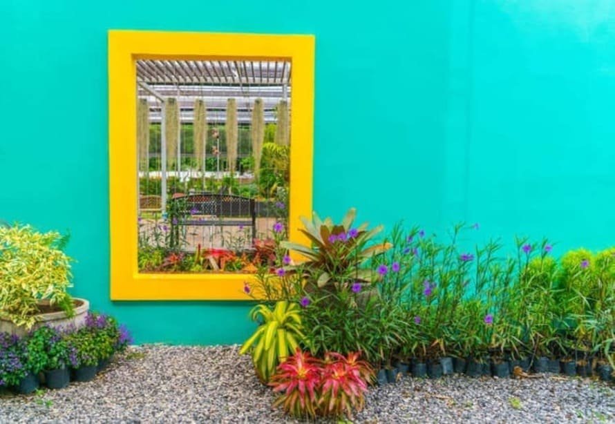 outdoor plant decor ideas